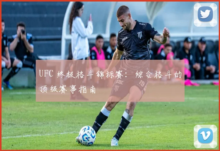 UFC 终极格斗锦标赛：综合格斗的顶级赛事指南