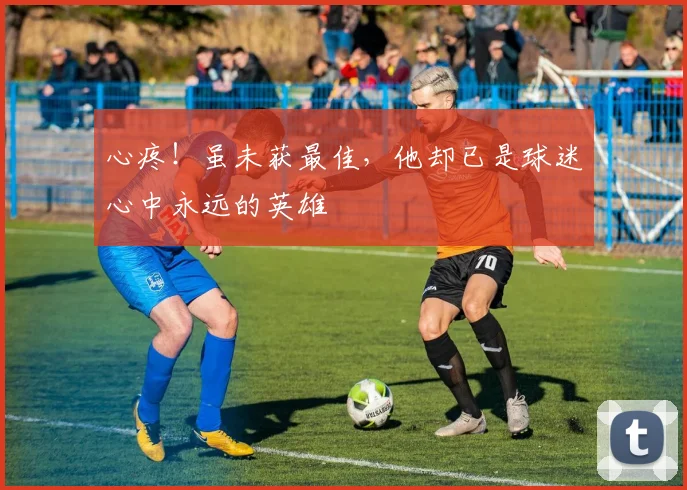 心疼！虽未获最佳，他却已是球迷心中永远的英雄