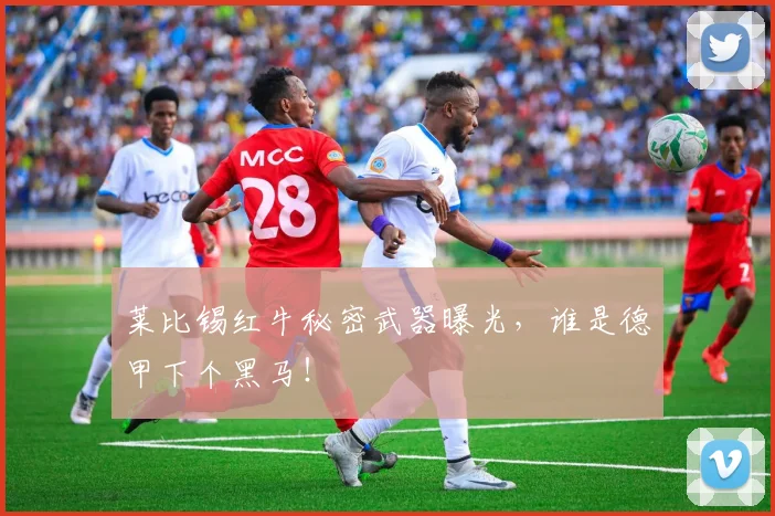 莱比锡红牛秘密武器曝光，谁是德甲下个黑马！