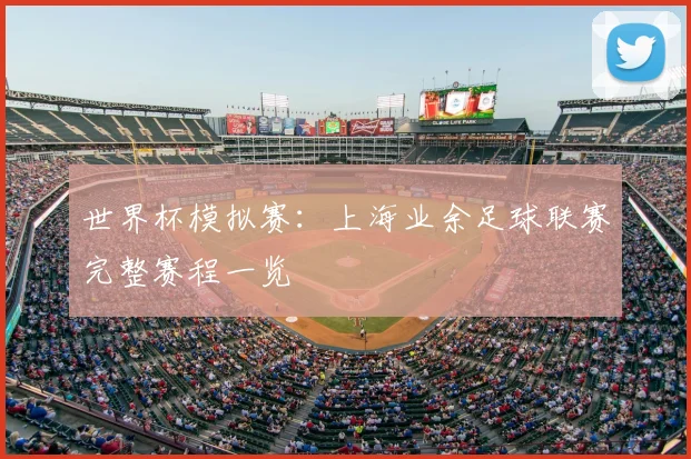 世界杯模拟赛：上海业余足球联赛完整赛程一览