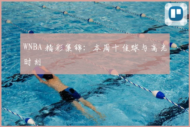 WNBA 精彩集锦：本周十佳球与高光时刻