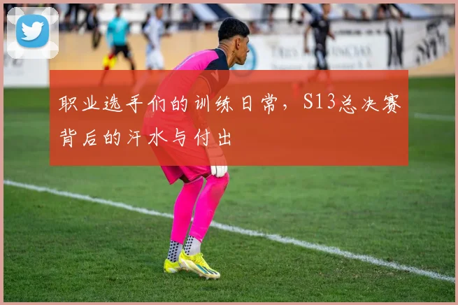 职业选手们的训练日常，S13总决赛背后的汗水与付出