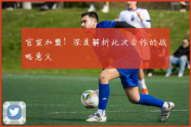 官宣加盟！深度解析此次合作的战略意义