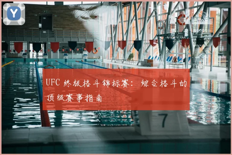 UFC 终极格斗锦标赛：综合格斗的顶级赛事指南