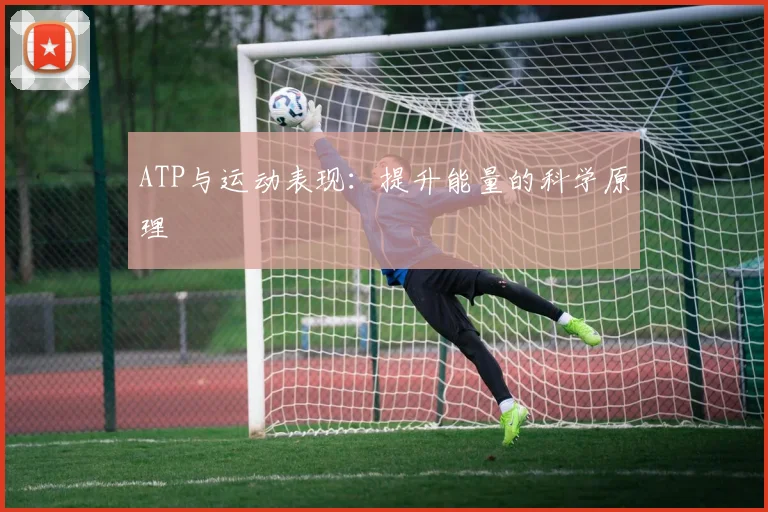 ATP与运动表现：提升能量的科学原理